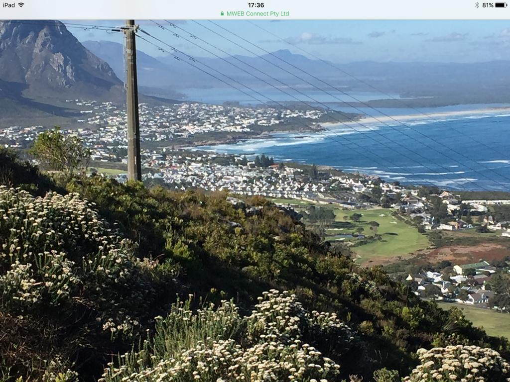 77 On 7Th Street Apartment Hermanus Exterior photo